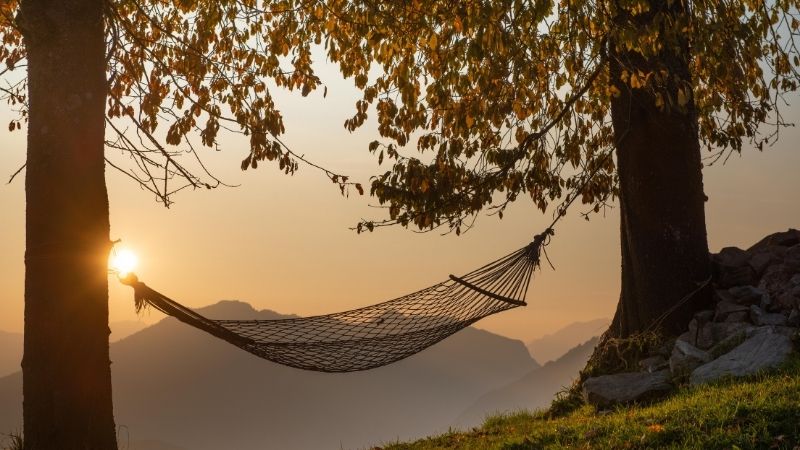 Hängematte zwischen zwei alten Bäumen inder Abendsonne